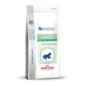 Royal Canin Vet Care Small Dog Starter (tot 10 kg)