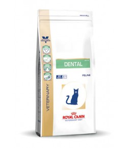 Royal Canin Dental kat - Droogvoeding 