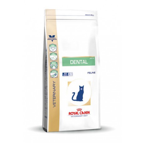 Royal Canin Dental kat - Droogvoeding 