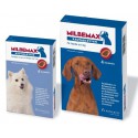Milbemax kauwtabletten voor honden en puppies