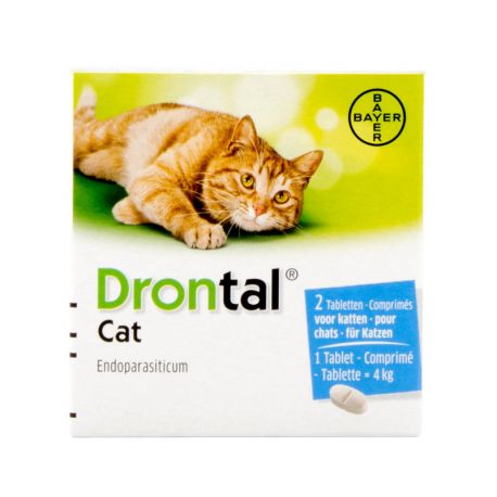 Drontal Cat