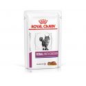Royal Canin Renal Kat - Natvoeding