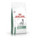 Royal Canin Diabetic hond - Droogvoeding