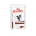 Royal Canin Gastro Intestinal Kat - Natvoeding