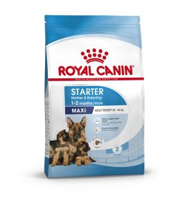 Royal Canin Starter Mother & Babydog Maxi (25 tot 45 kg)