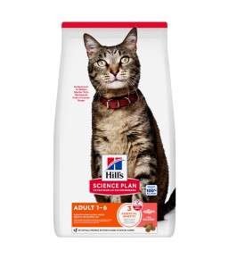 Hill's Science Plan Kat Adult Zalm - Kattenbrokken