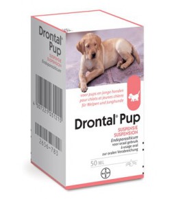 Drontal Pups