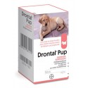 Drontal Pups