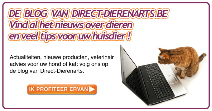 Link naar de blog direct-dierenarts.be