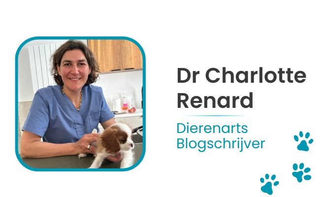 Dr Charlotte Renard - Team Direct-Dierenarts